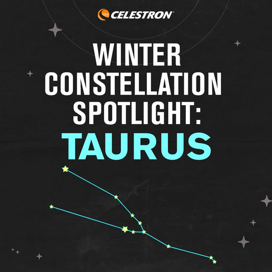 Winter Constellation Spotlight: Taurus