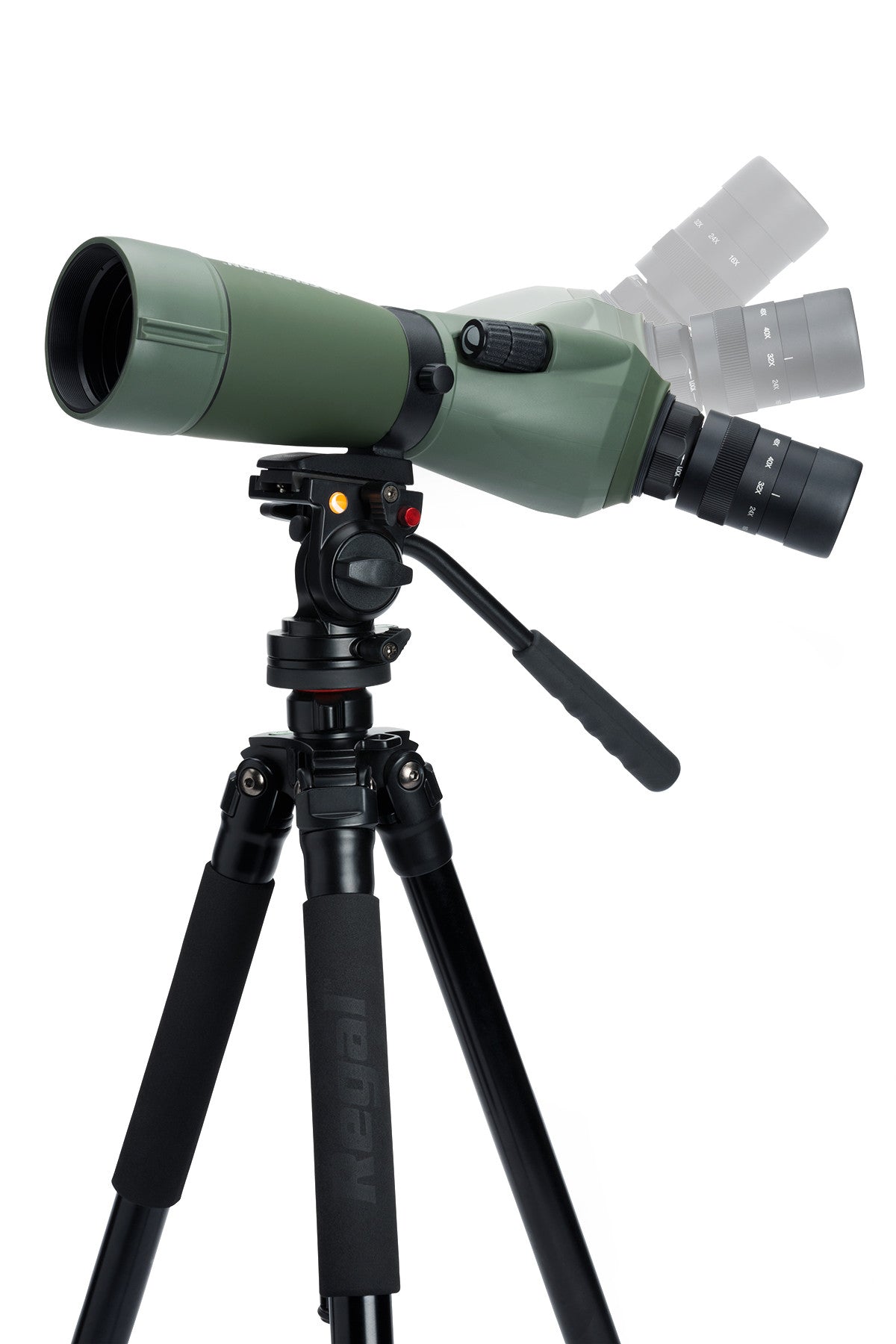 Regal M2 16-48x65mm ED Angled Zoom Spotting Scope