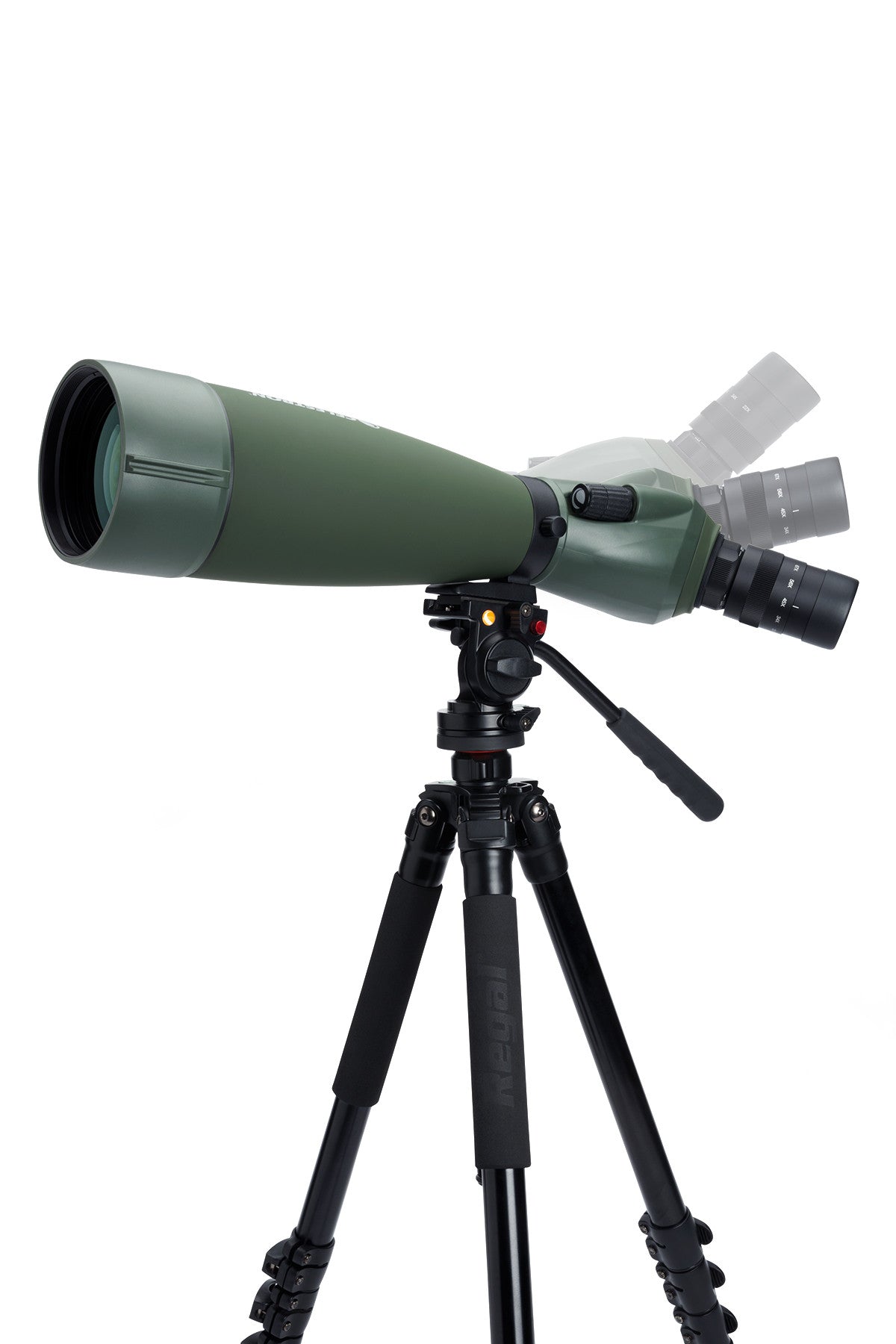 Regal M2 20-60x80mm ED Angled Zoom Spotting Scope