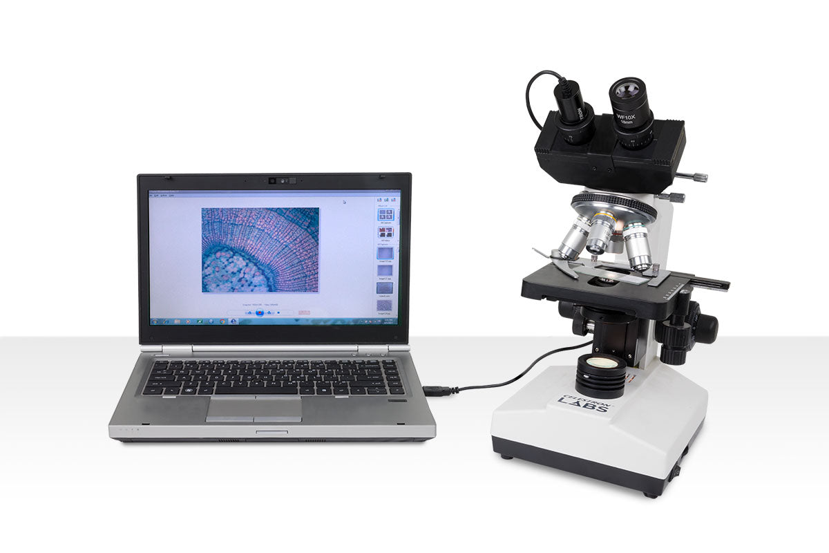 Celestron Labs CB1000CF Compound Microscope