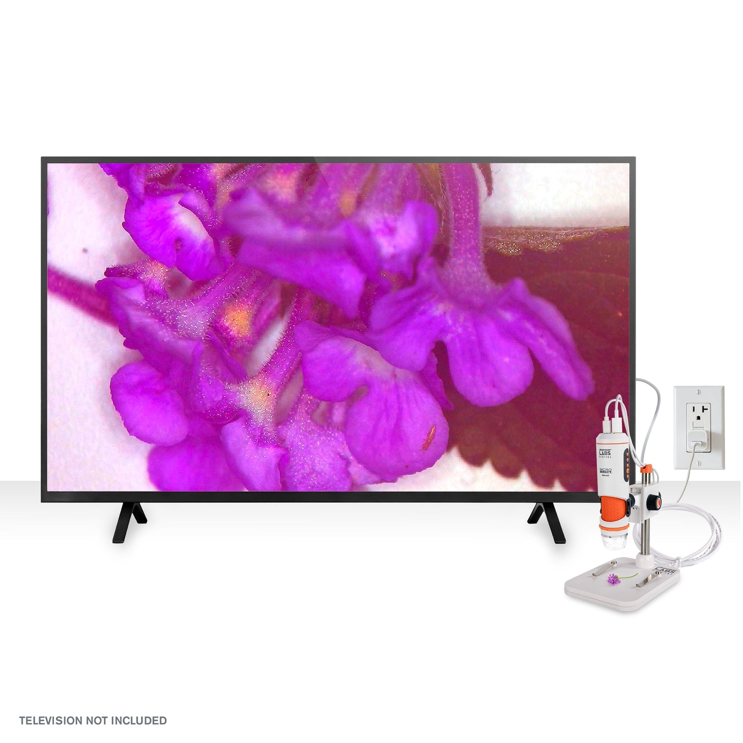 Celestron Labs Digital MicroDirect Microscope