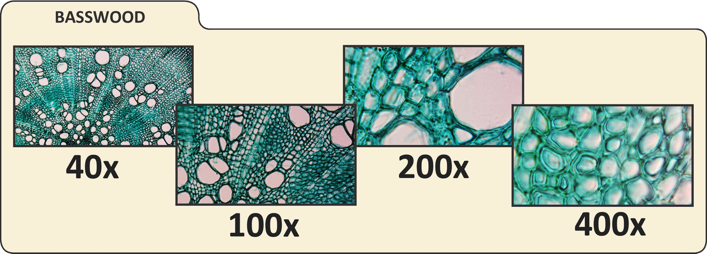 PentaView LCD Digital Microscope