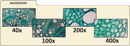 PentaView LCD Digital Microscope