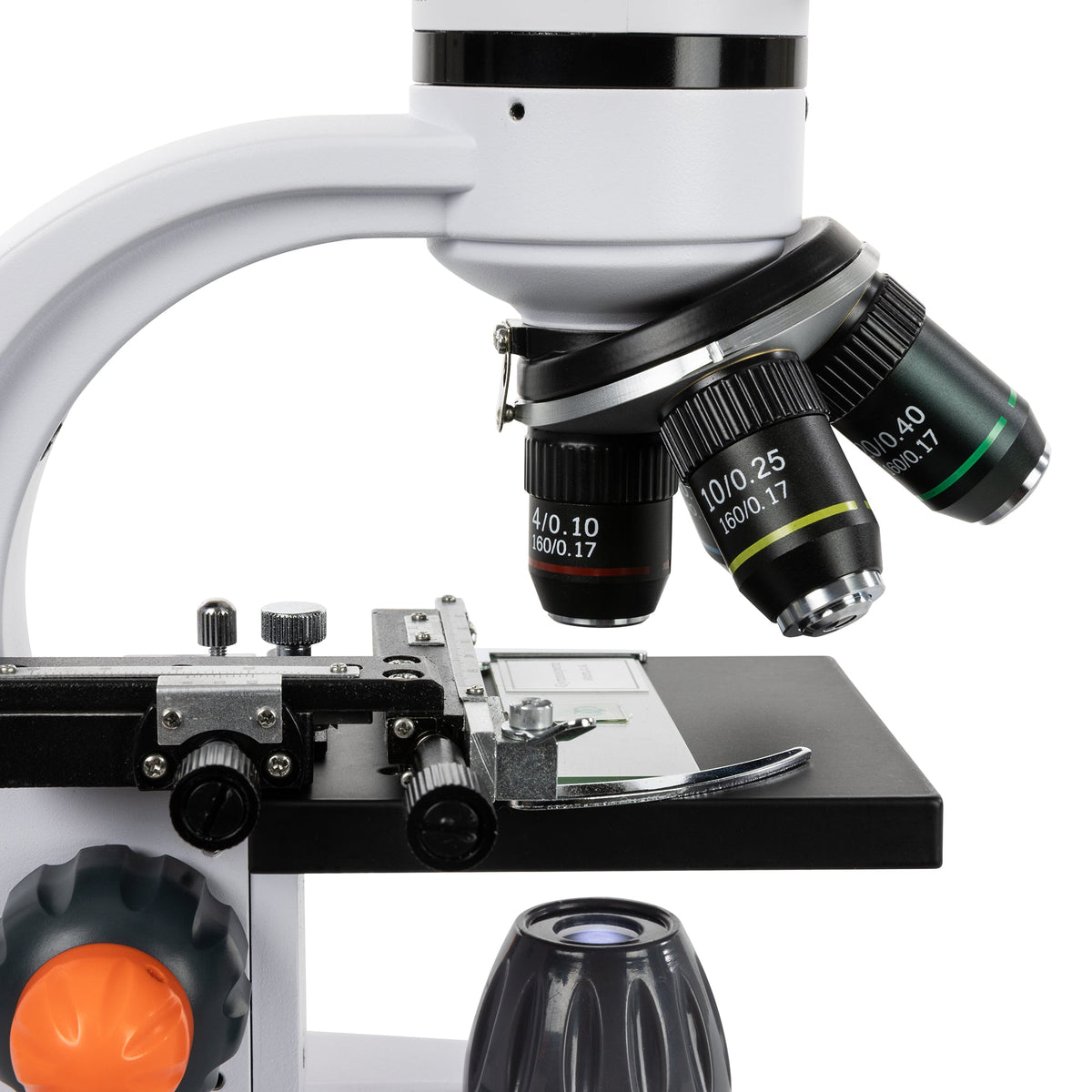 Celestron Labs Digital 7" LCD Desktop Microscope