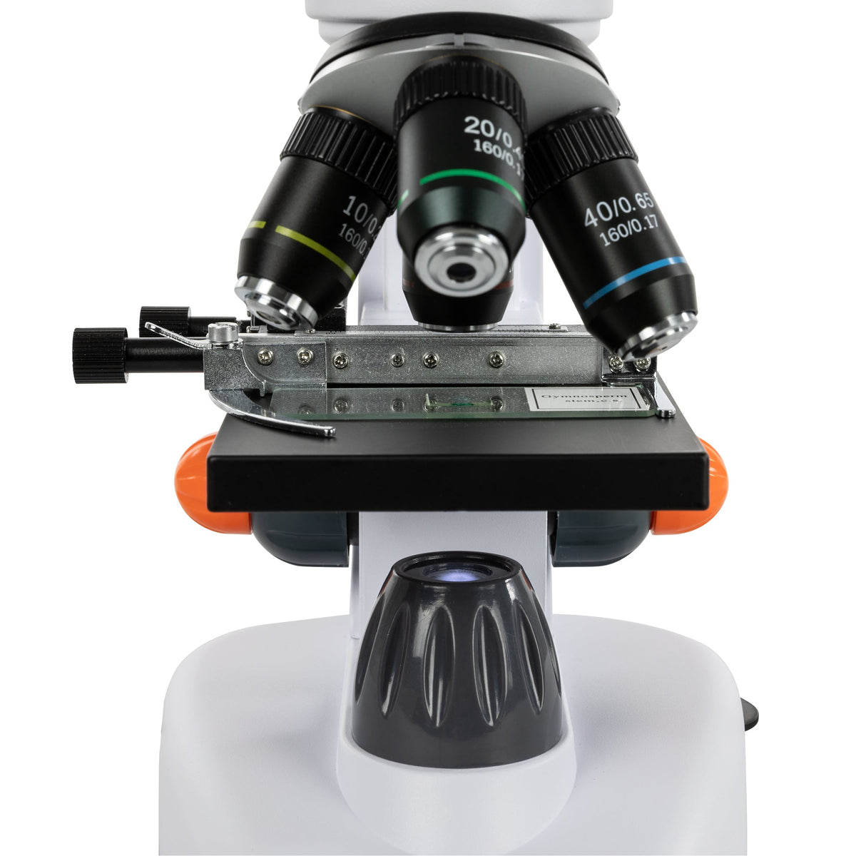 Celestron Labs Digital 7" LCD Desktop Microscope