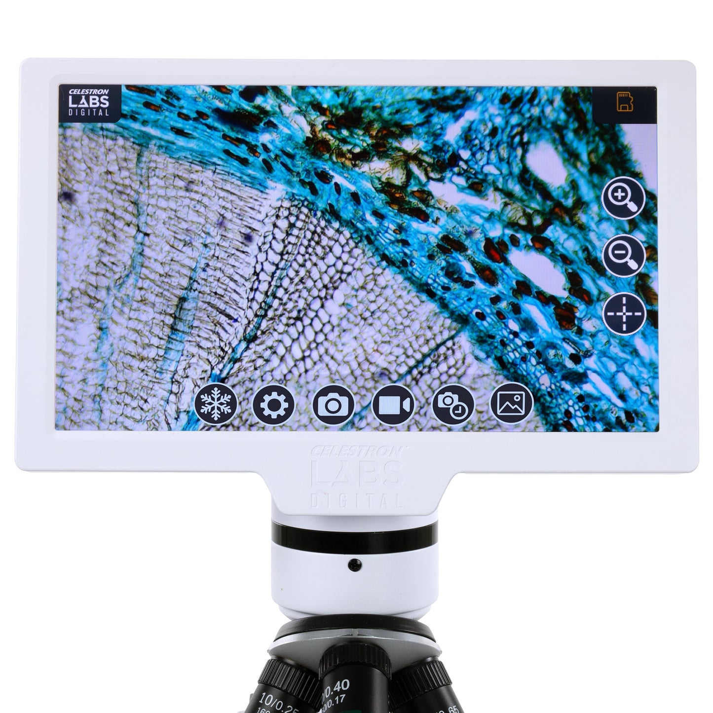 Celestron Labs Digital 9" LCD Desktop Microscope