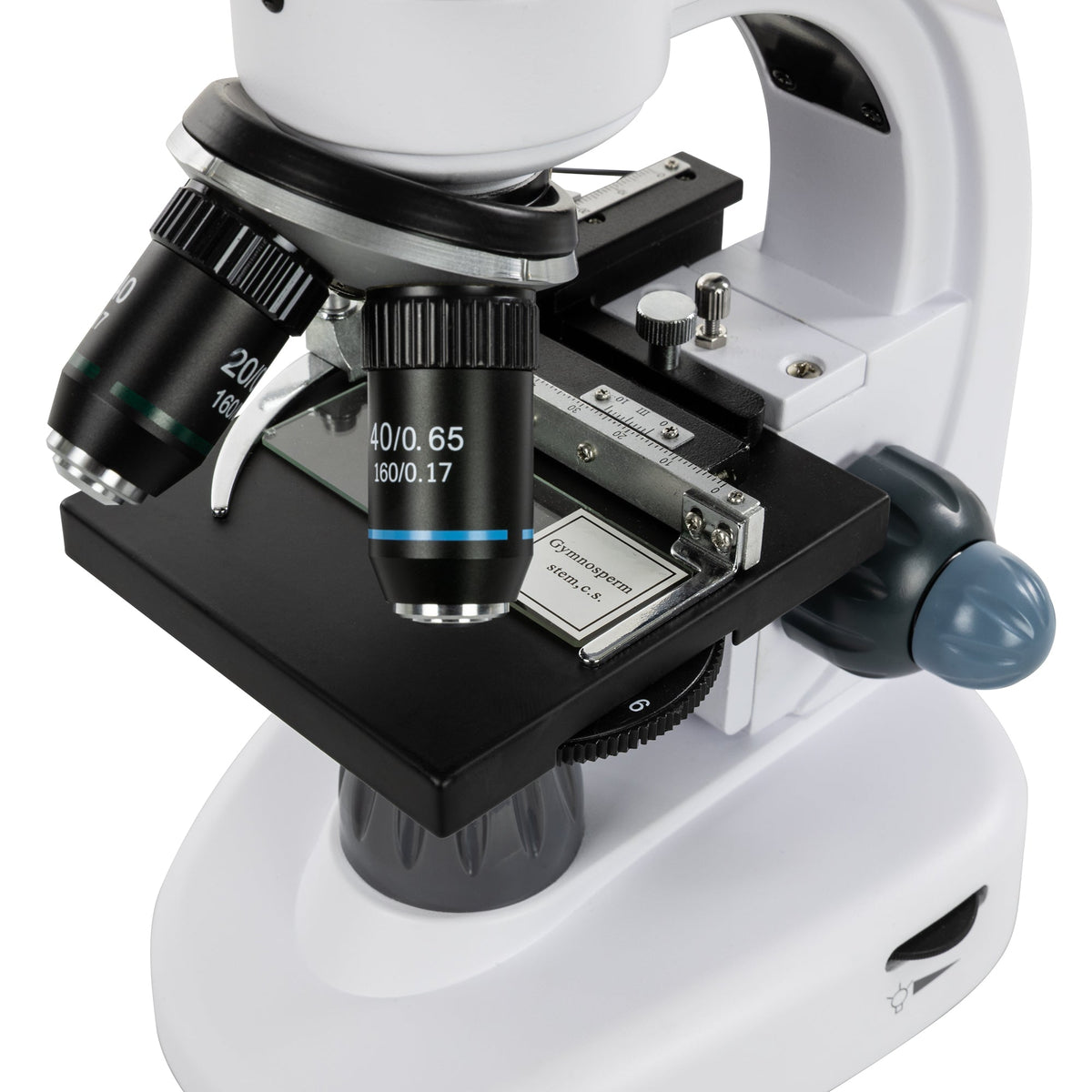 Celestron Labs Digital 9" LCD Desktop Microscope