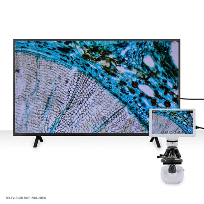 Celestron Labs Digital 9" LCD Desktop Microscope