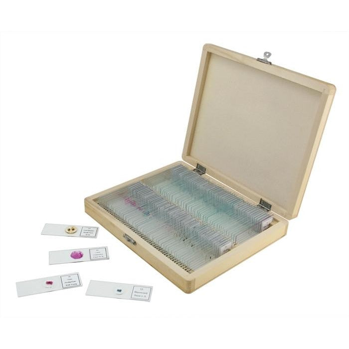 100 Piece Prepared Microscope Slide Kit – Celestron Global Limited