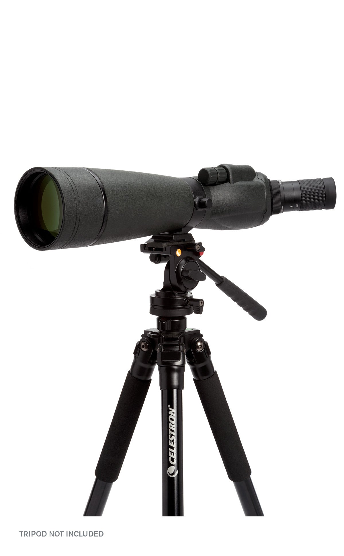 TrailSeeker 20-60x80mm Angled Zoom Spotting Scope