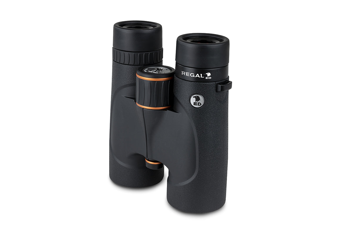 Regal ED 8x42mm Roof Binoculars