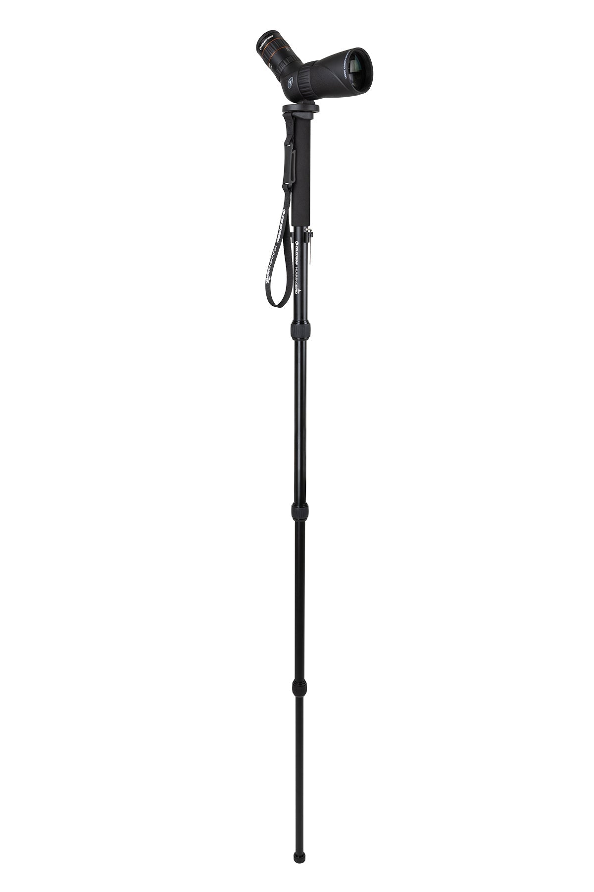 Hummingbird Monopod