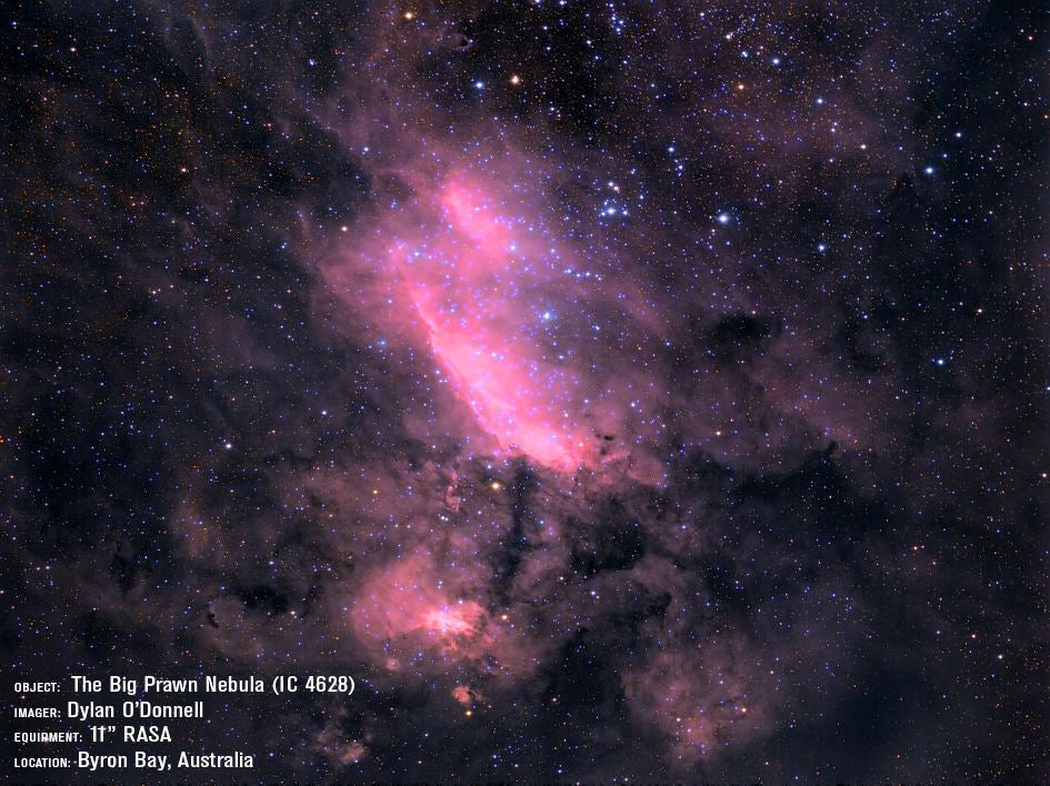 CGX 11" Rowe-Ackermann Schmidt Astrograph (RASA) Equatorial Telescope